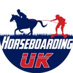 Бейлис объединился с Horseboarding UK, чтобы поддержать промежуточную часть   Чемпионат по конному спорту, национальное соревнование, которое показывает таблицу лиги с количеством заплывов на ярмарках округа по всей стране