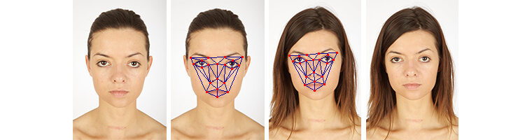 Відстані між точками по черзі заносяться в файл, кодуючи зображення обличчя і роблячи його придатним для математичного порівняння