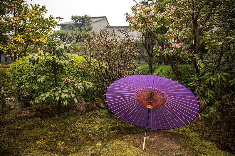 Парасольки дзя-но-ме-Гаса можуть використовуватися для захисту як від дощу, так і від сонця
