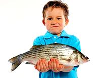 Ви звичайно ж чули про чудодійні властивості риб'ячого жиру