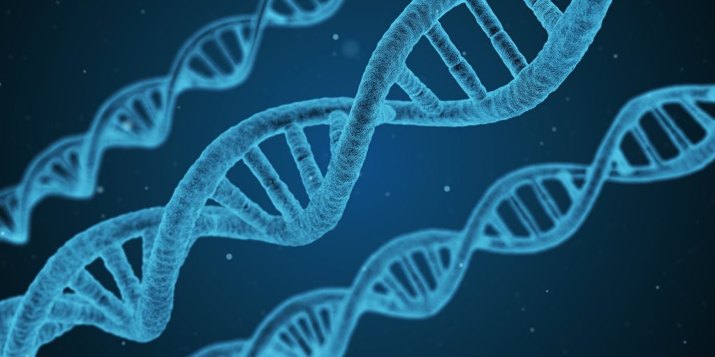 Дуже обмежені варіації в послідовності ДНК людської Y-хромосоми у всьому світі свідчить про недавньому походження людства - тисячі, а не мільйони років тому