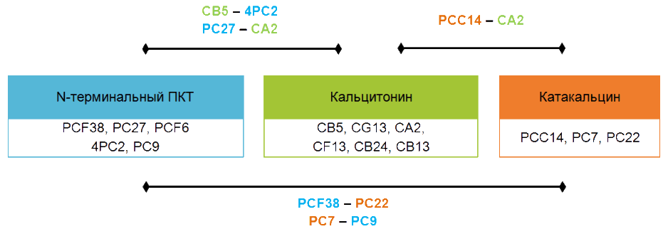 3)