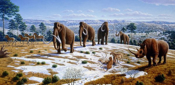 Останки жив три мільйони років тому слона археологи виявили під час розкопок комплексу Айн-ель-Хенш, що знаходиться на північному заході країни