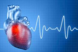 Якщо щодня вранці фіксувати величину пульсу, то з часом (на тлі регулярних тренувань протягом 4-6 і більше тижнів) можна помітити, що ця величина трохи зменшується, тобто серце за хвилину скорочується меншу кількість разів, ніж до початку тренувань