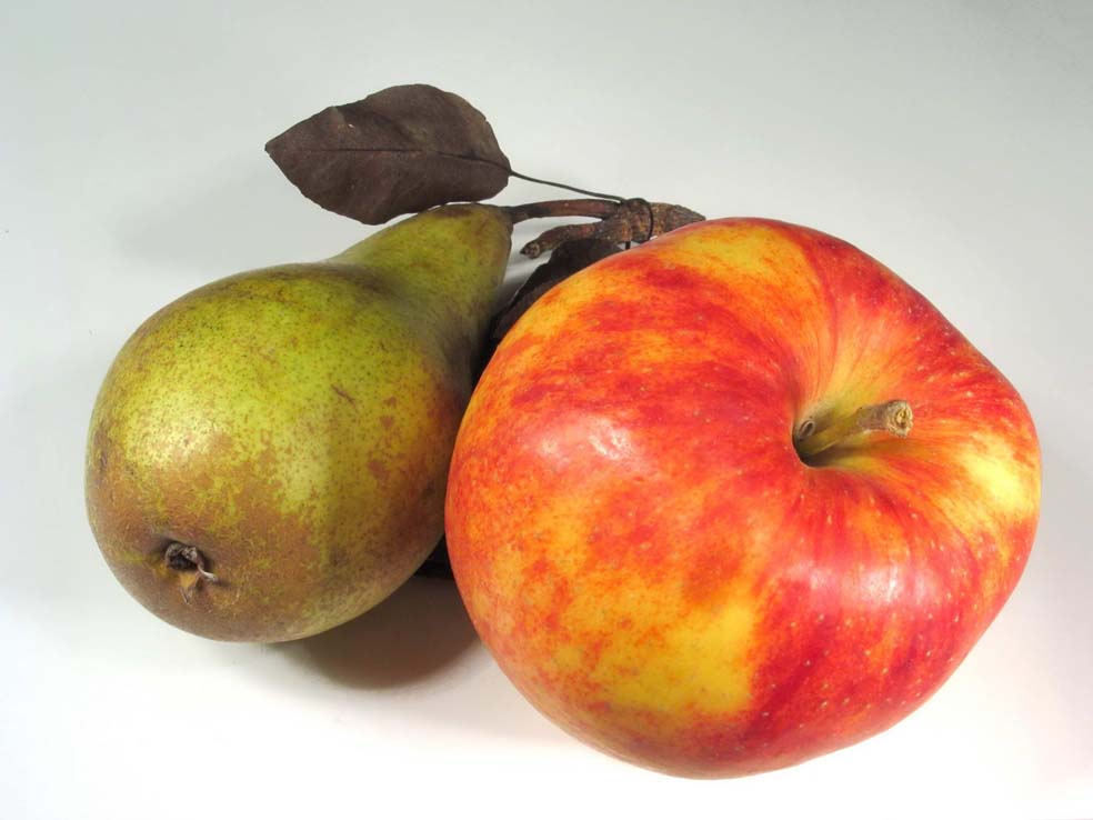 Яблука та груші