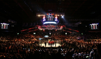 Днями в Лас-Вегасі відгримів UFC 183, де в справу повернувся легендарний бразилець   Андерсон Павук Сілва